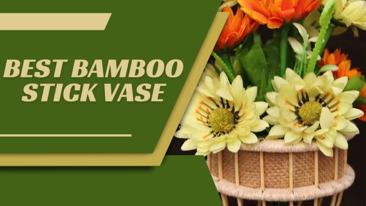 Best Bamboo Stick Vase