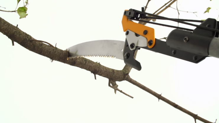 best manual pole saw to use