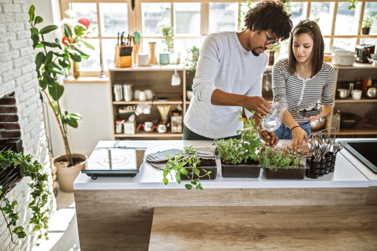 Multi-ethnic couple taking care of kitchen herbs